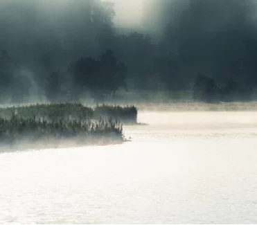 Einladung zum Trialog im PSZ Innsbruck